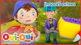 La Fête aux framboiseilles ! | Oui Oui Officiel