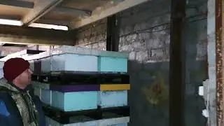 Пасека Матюшкиных. Зимовник на 800-900 семей.