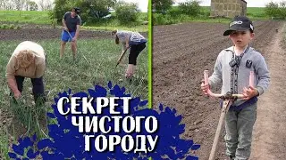 🇺🇦Секрет ЧИСТОГО городу. Люди ще тільки садять, а ми вже з бур'яном боремось!