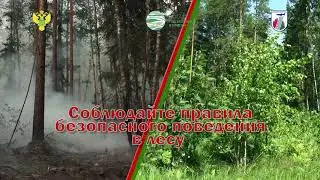Запрещено жечь сухую траву!
