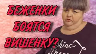 БЕЖЕНКИ БОЯТСЯ ВИШЕНКУ? ЮЛЯ СТАР. ОБЗОР.