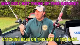 Fishing With Fluke Style Baits This Summer: Why You Should Give It A Try
