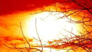 Trifonic- Parks on Fire