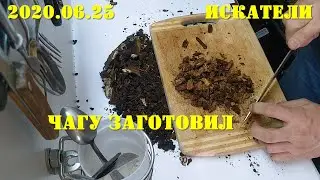 2020.06.25. ИСКАТЕЛИ. Чагу заготовил.