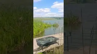 Приплыл остров на сектор) #shorts #рыбалка #carpfishing