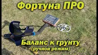 Как правильно сделать баланс к грунту с металодетектором Фортуна ПРО