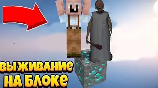 ВЫЖИВАНИЕ НА 1 БЛОКЕ В МАЙНКРАФТ С ДЕДОМ И БАБКОЙ ГРЕННИ