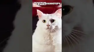 Лучший глушитель #угар #приколы #смешно #комедия