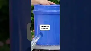 Путешествие - лучшее лекарство!