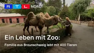 Familie Wilhelm lebt mitten im Braunschweiger Zoo