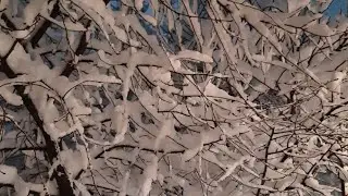 Сбылись мои предсказания 😆😆😆 снимаю пока не растаяло.)))