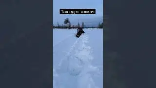 Честный тест