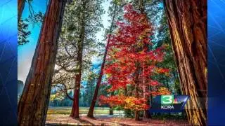 El Dorado Hills resident captures the colors of California