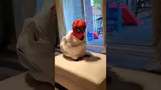 Wonder woman vs spider baby mummy wrap 