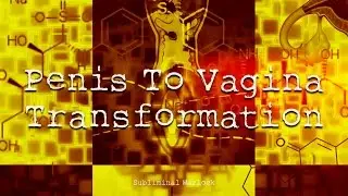 Penis To Vagina Transformation MTF HRT LGBT Transgender Subliminals Frequencies Biokinesis Hypnosis