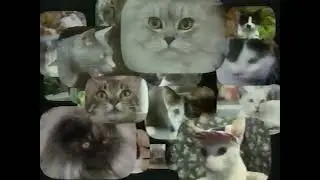 Cats Marathon - TLC Promo (1993)