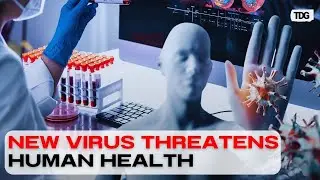 Camp Hill Virus: The New Epidemic Threatening America's Health