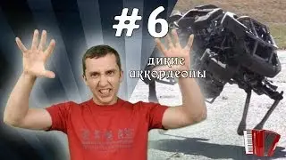 Дикая кошка / WildCat (Дикие аккордеоны #6)