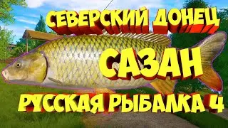 русская рыбалка 4 - Сазан река Северский Донец - рр4 фарм Алексей Майоров