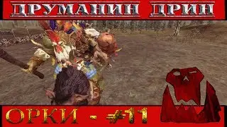 Total War: Warhammer - Прохождение за Орков #11 - Тормоз Архаон