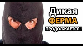 Дикая ферма ПРОДОЛЖАЕТСЯ !