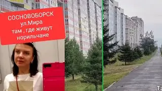НОРИЛЬСК_СОСНОВОБОРСК знакомство с городом ул. Мира