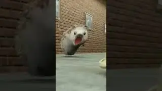 хренобуса поймали