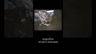 Татуировки чукчей изучат на государственном уровне