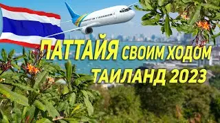 Полетели в Таиланд своим ходом. Паттайя после пандемии 2023