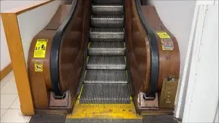 ThyssenKrupp and Otis Wooden Replacement Escalators at Macy's, New York City NY