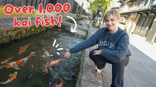 This Japanese Town has KOI FISH in the Streets 😍 ft. 