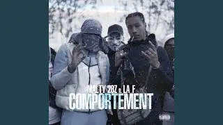 Comportement
