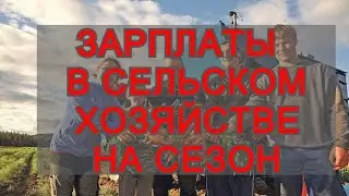 🔴 ЗАРПЛАТА НА СЕЗОННОЙ РАБОТЕ В НОРВЕГИИ