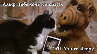 Alf. You're sleepy. Альф. Тебе хочется спать. 