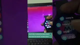 Control Kitty Terminal from Galaxy Watch 4