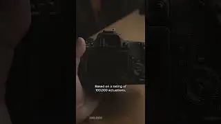 How Many Actuations Do They Have? Canon 77D vs Canon 600D