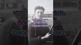 Несколько фактов про автомобили и Ламборгини #shorts #МирВсего #Феррари #Ламборгини #Вольцваген