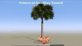Como hacer una palmera en Speedtree / Palm in Speedtree tutorial