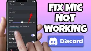 How To Fix Mic Not Working On Discord