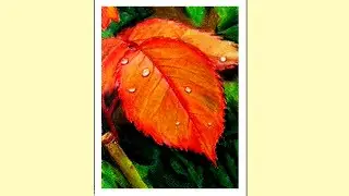 How to Draw and Paint Leaves in Soft Pastels