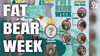 Fat Bear Week is back for 2022!