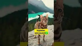 6 июня 2024 г.