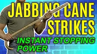 Walking Cane Strikes to Stop Attacker | Self Defense Moves | FightFast