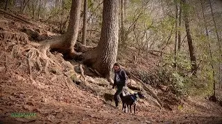 Adventures in Helen, Ga - Last Day - [Vlog_30] MMD