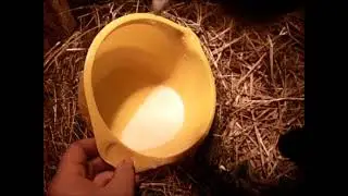Знакомство козочек,первое кормление.И первая ночь.