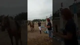 Внутриклубные соревнования в КСК 