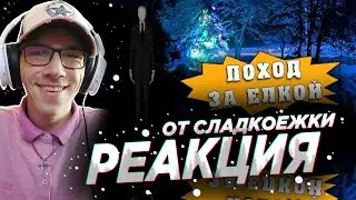HFM Show : Как вырубить новогоднюю елку | РЕАКЦИЯ