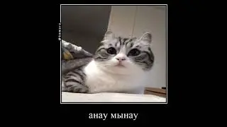 Мем все спасибо братан 
