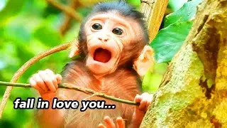 Cute baby Adie look you fall in love....you.